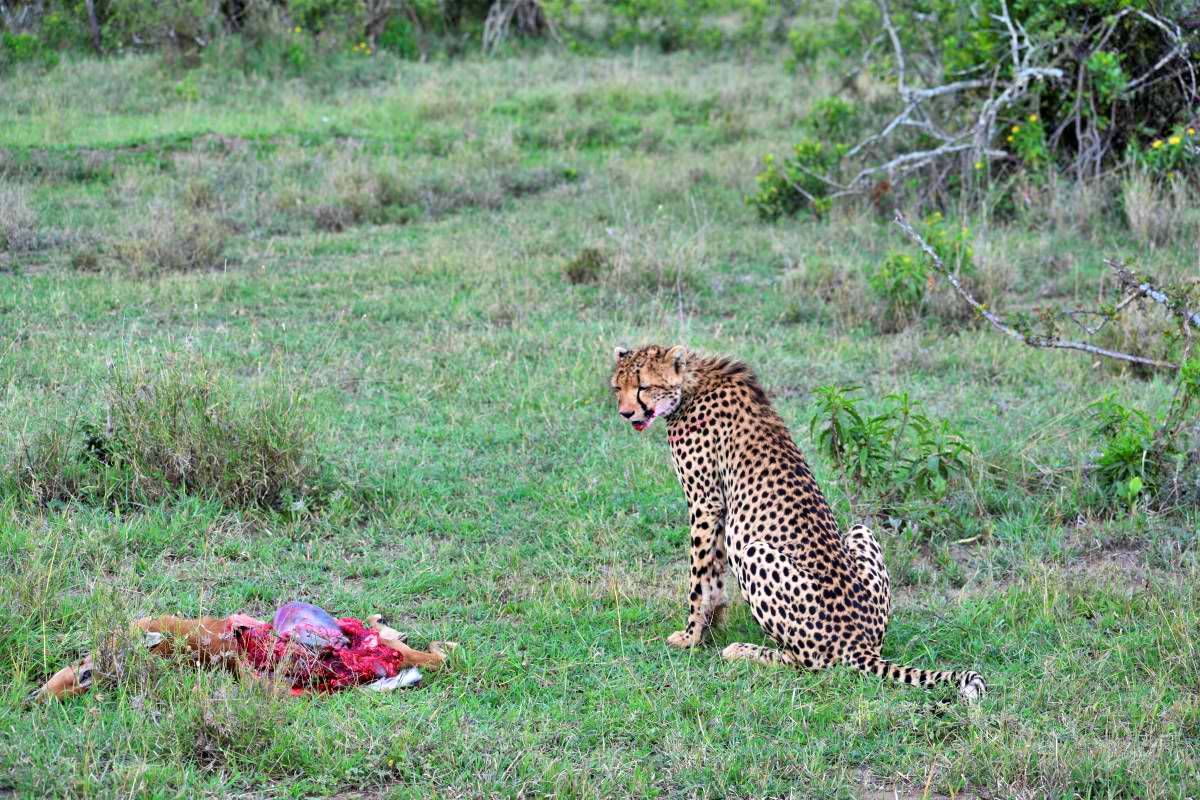 Dume Africa Trails Kenya _DSC0027 79